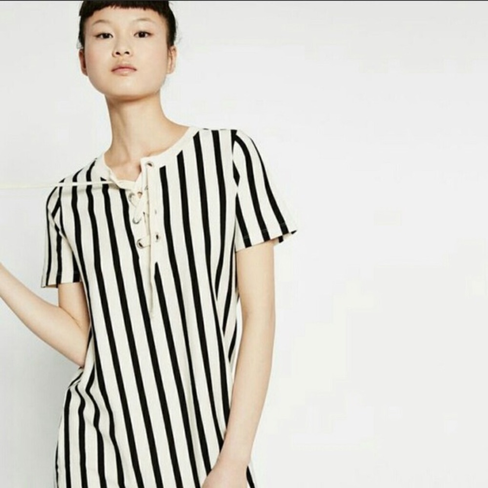 NWOT Zara Ivory and Black Vertical Stripe Mini